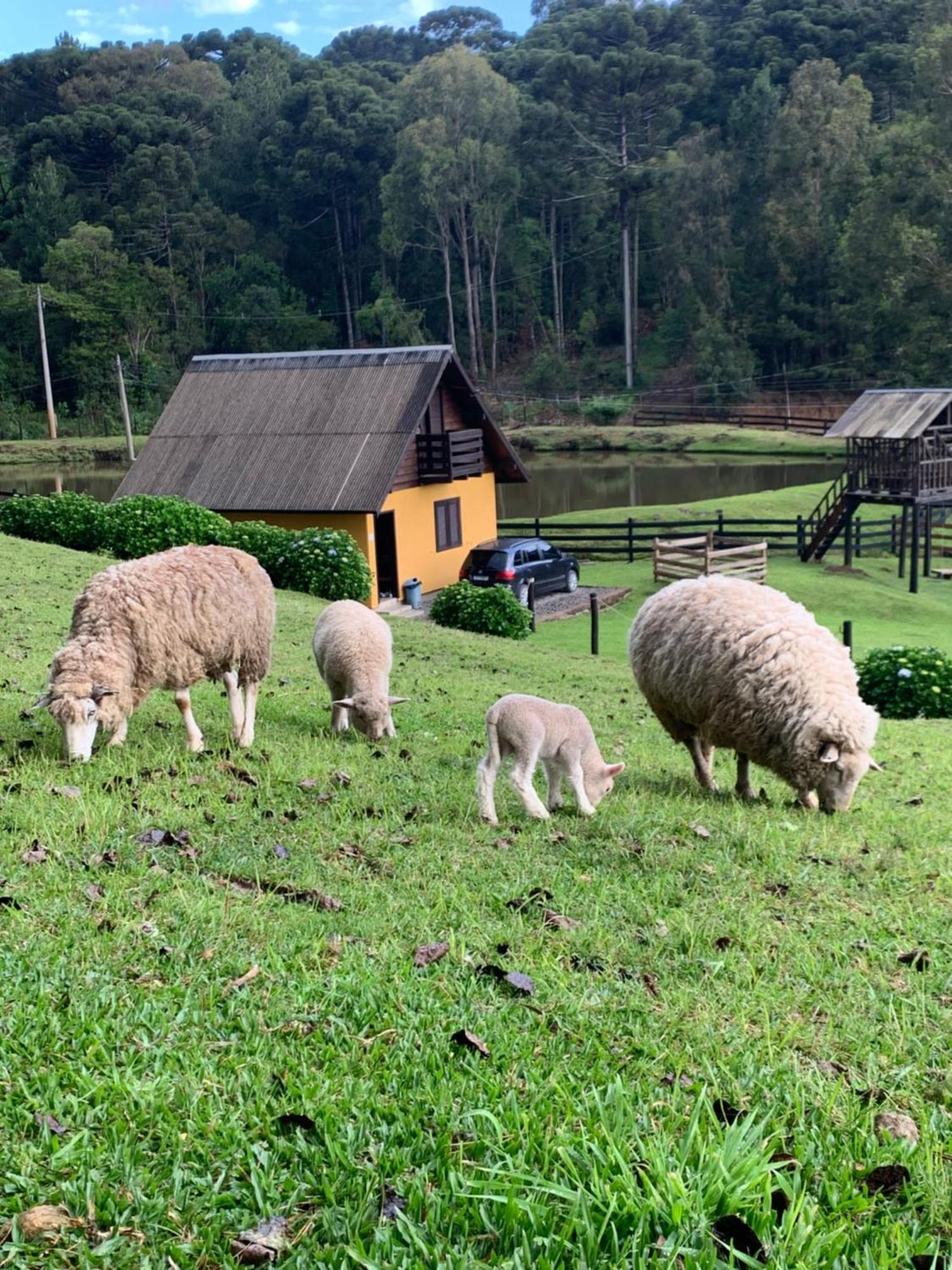 Cabanas Leao Da Tribo De Juda กาเนรา ภายนอก รูปภาพ
